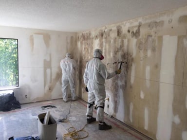 Mold remediation professionals working on walls