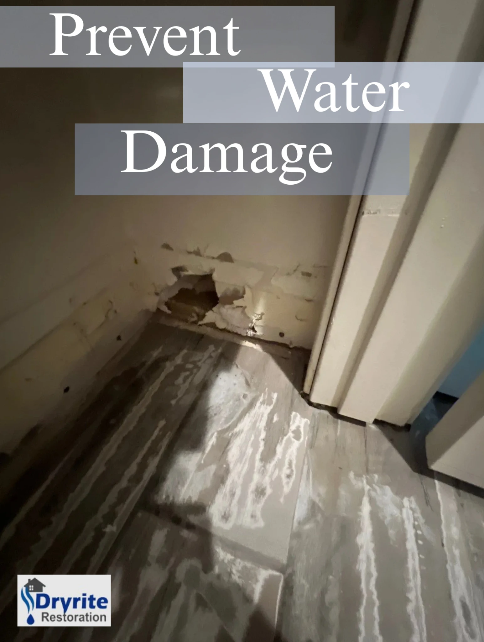 Your Go-To Guide for Preventing Water Damage in Mesa Homes