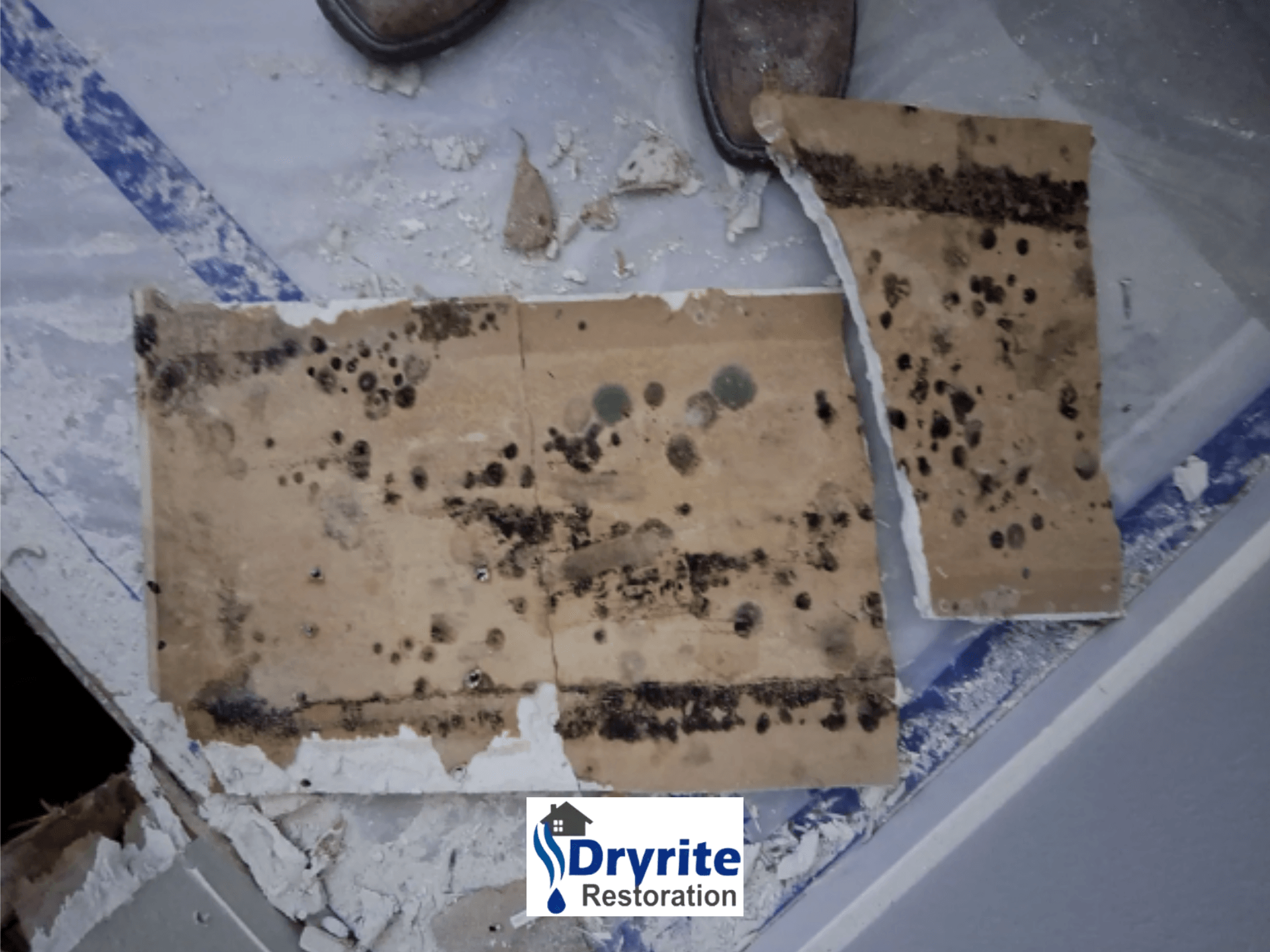 Understanding When to Replace Contaminated Drywall